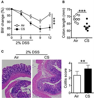 Cigarette Smoke Induces Intestinal Inflammation via a Th17 Cell-Neutrophil Axis